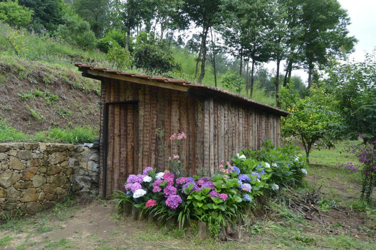 Casa Do Ribeiro Villa Sever do Vouga Buitenkant foto